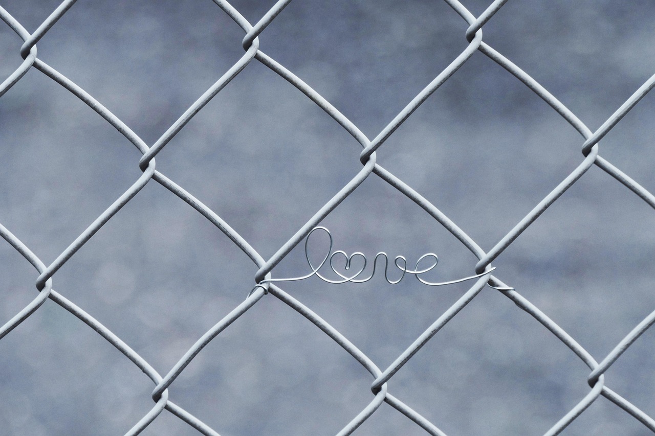 love, wire, fence, in love, heart, locked in, wire mesh, grid, metal, closed, love, love, love, love, love, fence, heart